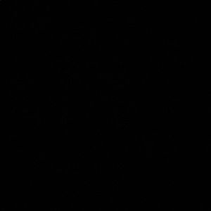 Meet your Posher, Bob